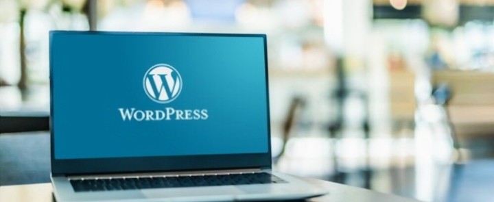 How to Make blog Post in WordPress 2022?