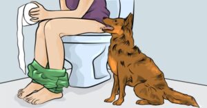 Unraveling the Mystery: Why Dogs Follow You into the Bathroom